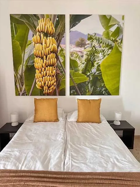 Casa Valhalla Funchal  Zajazd